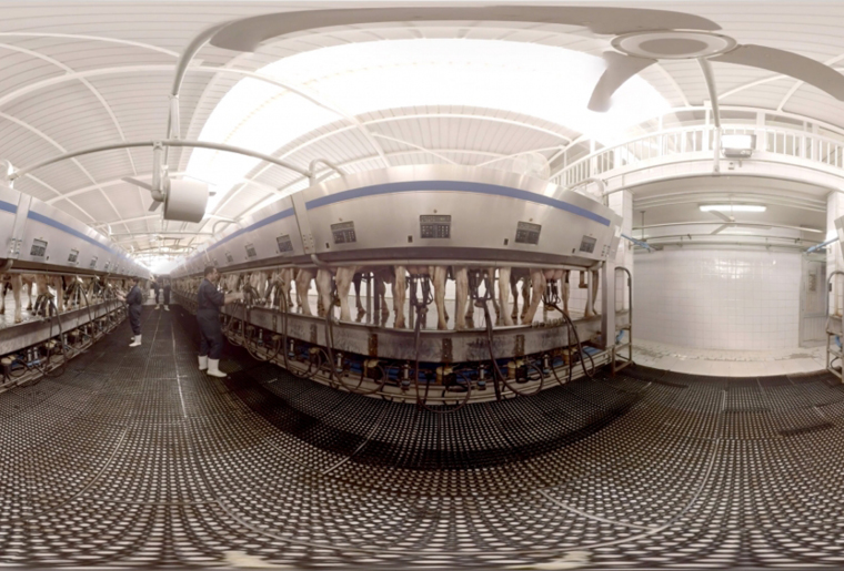 Services Background111 - Hive Innovative Group - Digital Advertising Agency