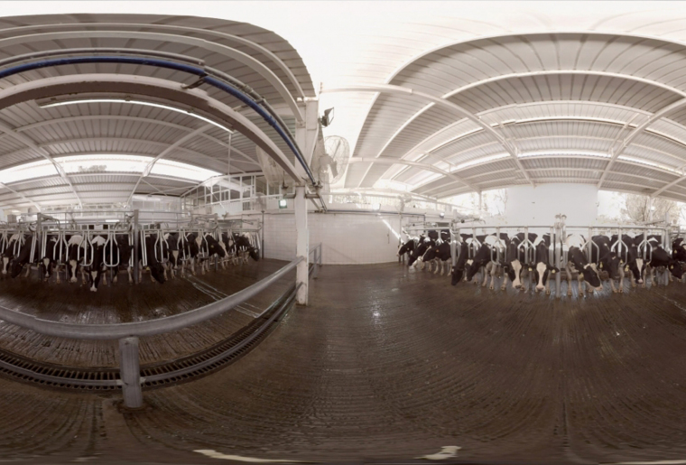 Services Background113 - Hive Innovative Group - Digital Advertising Agency