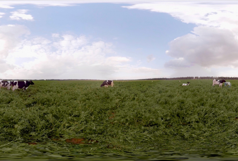 Services Background114 - Hive Innovative Group - Digital Advertising Agency