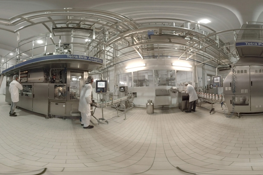 lamar - Hive Innovative Group - Digital Advertising Agency