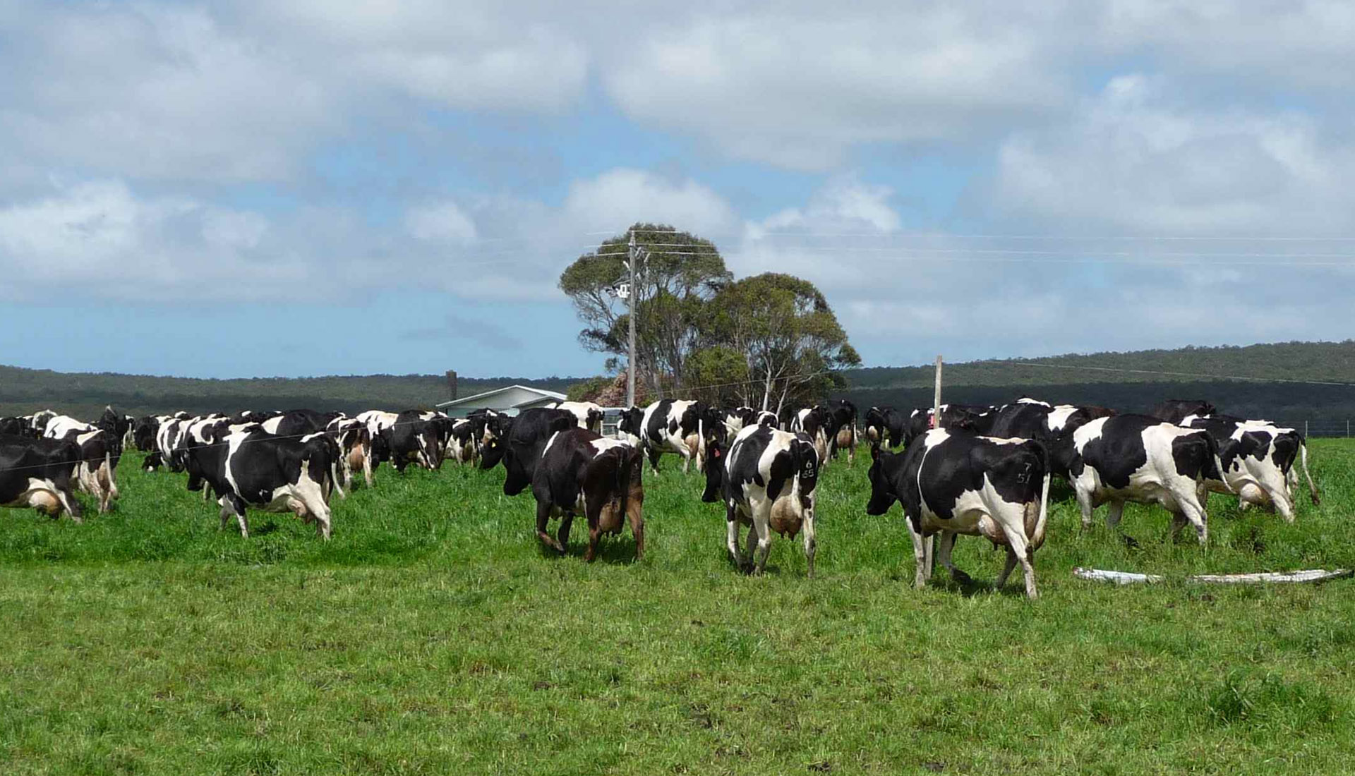 Lamar 360 campaign - Hive Innovative Group - Digital Advertising Agency