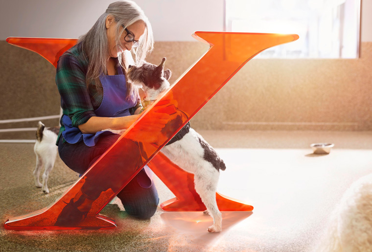 Xgeva Visual - Hive Innovative Group - Digital Advertising Agency